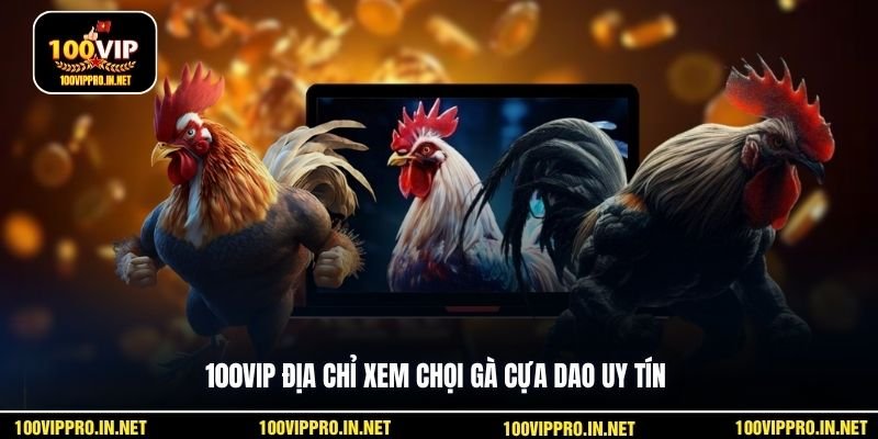 100VIP địa chỉ xem chọi gà cựa dao uy tín
