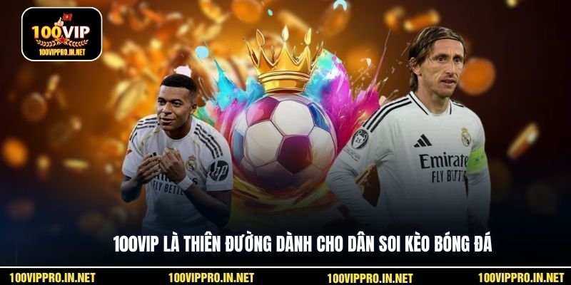 100VIP là thiên đường dành cho dân soi kèo bóng đá