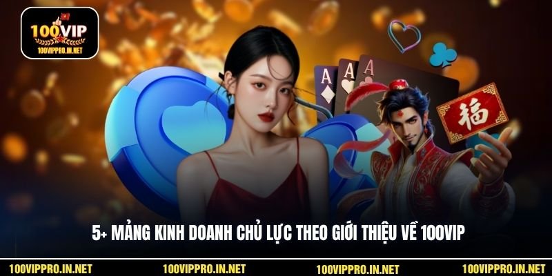 5+ mảng kinh doanh chủ lực theo giới thiệu về 100VIP