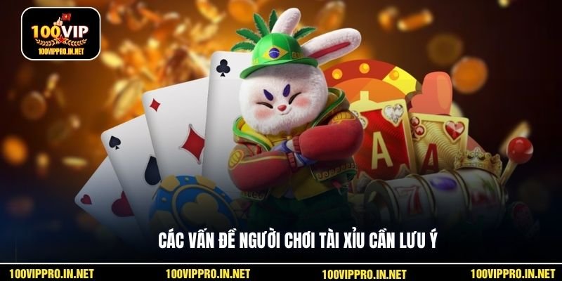 Các vấn đề người chơi tài xỉu cần lưu ý