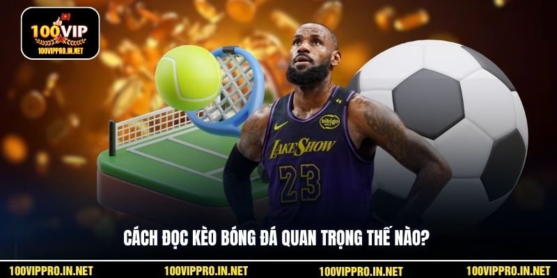 Cách đọc kèo bóng đá quan trọng thế nào?