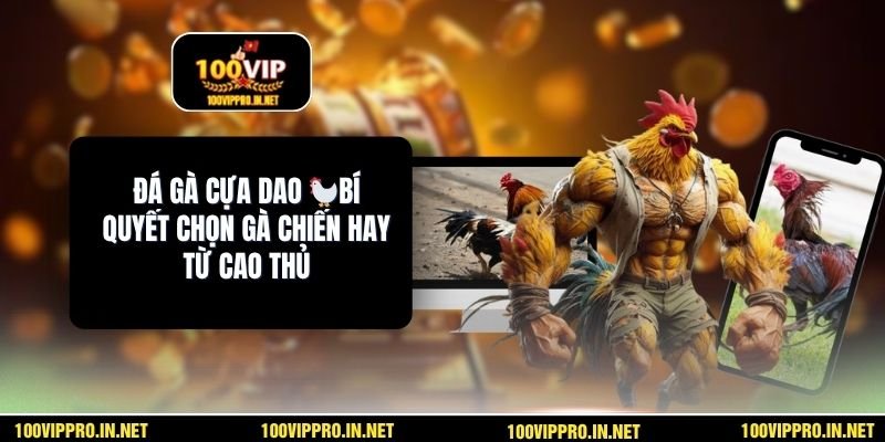 Đá Gà Cựa Dao 🐓Bí Quyết Chọn Gà Chiến Hay Từ Cao Thủ