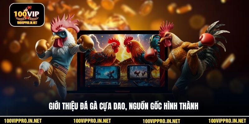 Giới thiệu đá gà cựa dao, nguồn gốc hình thành