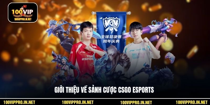 Giới thiệu về sảnh cược CSGO Esports