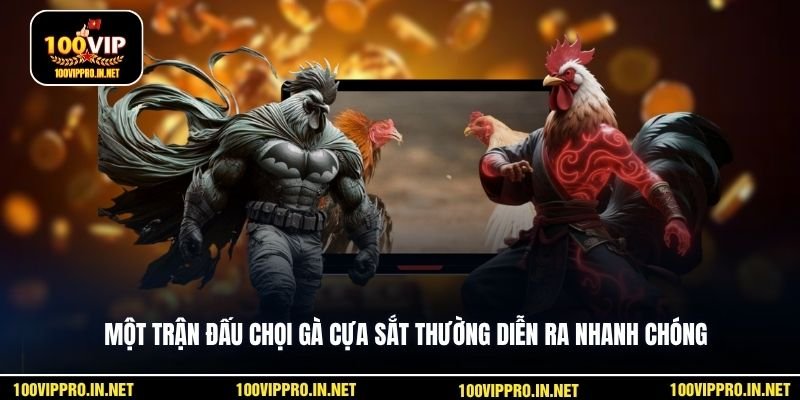 Một trận đấu chọi gà cựa sắt thường diễn ra nhanh chóng