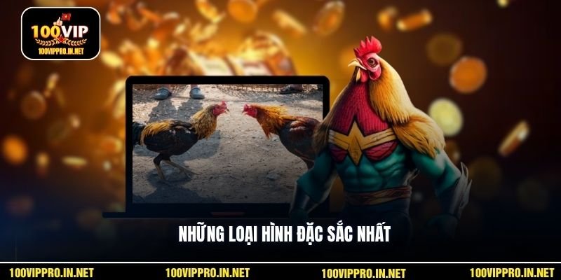 Những loại hình đặc sắc nhất