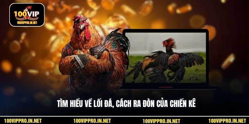 Tìm hiểu về lối đá, cách ra đòn của chiến kê
