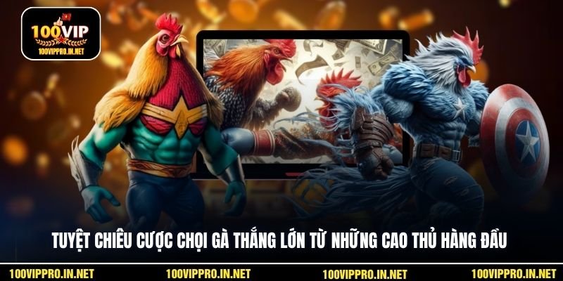 Tuyệt chiêu cược chọi gà thắng lớn từ những cao thủ hàng đầu